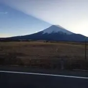 ねこたん