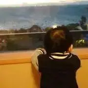 RKKの画像