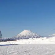 まめぞうの画像