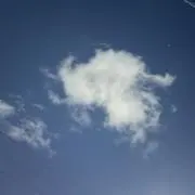 ぱぱですの画像