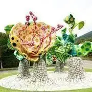 KU-の画像
