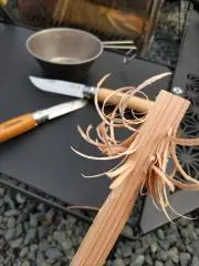 げんさん (☆プロフ見て下さい)の画像