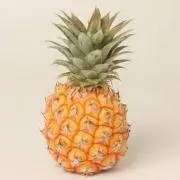 pineapple8646の画像