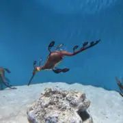 zの画像