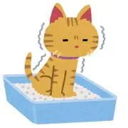 購入者プロフ必読の画像
