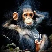 air