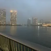 さかもの画像