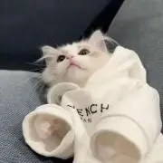 tyeceraの画像