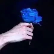 Rose    《プロフ必読・匿名配送》の画像