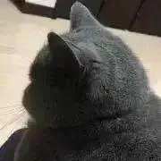 ムータンの画像