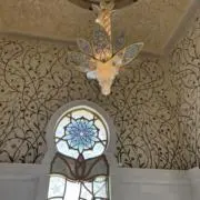 cottonの画像