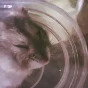 ゆうと