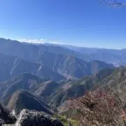 どーむるーんあああの画像