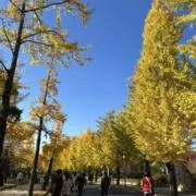 ぽぬの画像