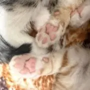 mの画像
