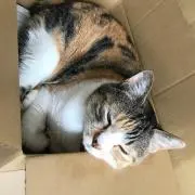 マジマまじ卍の画像