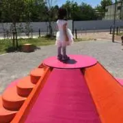 ともちゃんの画像