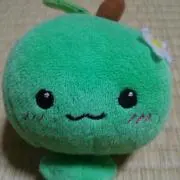 みしゅの画像