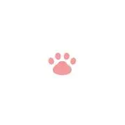 momoの画像