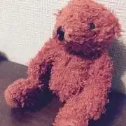 SE06の画像
