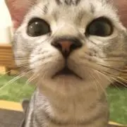 TAKASHIの画像