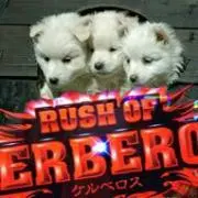 ケルベロすん