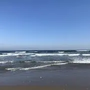 とちとちの画像