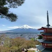 とげまるの画像