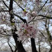 たなかの画像