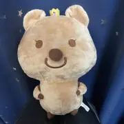 チョコチップの画像