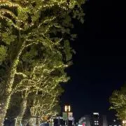 つんの画像