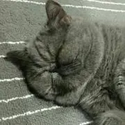 もえ