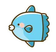 翻車魚の画像