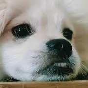 もっぴ