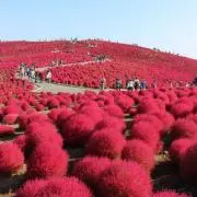 urin*の画像