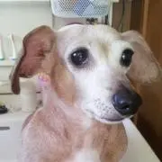 ☆もけこ☆プロフ必須の画像