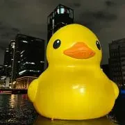 Kikiの画像