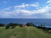 わかの画像