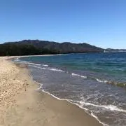 はるの画像