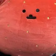 かすがの画像
