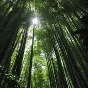 ykの画像