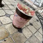 うらちゃんの画像