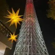 まりもの画像