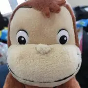 ひかりの画像