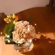AKKOの画像