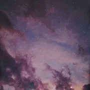 ぴーちの画像