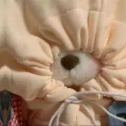 すぅの画像