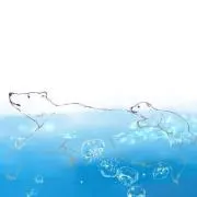 海月