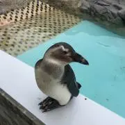 nnno