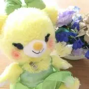 たまちゃんの画像